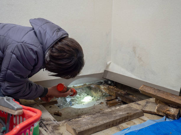 Best Indoor Air Quality Assessment  in Justin, TX