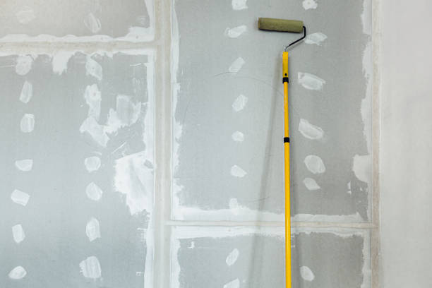 Best Water Damage & Mold Remediation  in Justin, TX