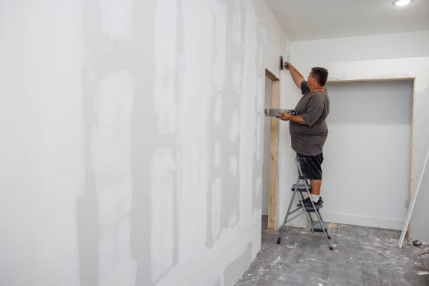 Professional Mold Removal in Justin, TX